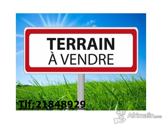 Terrain a vendre vus sur mer Kerkouane Kélibia