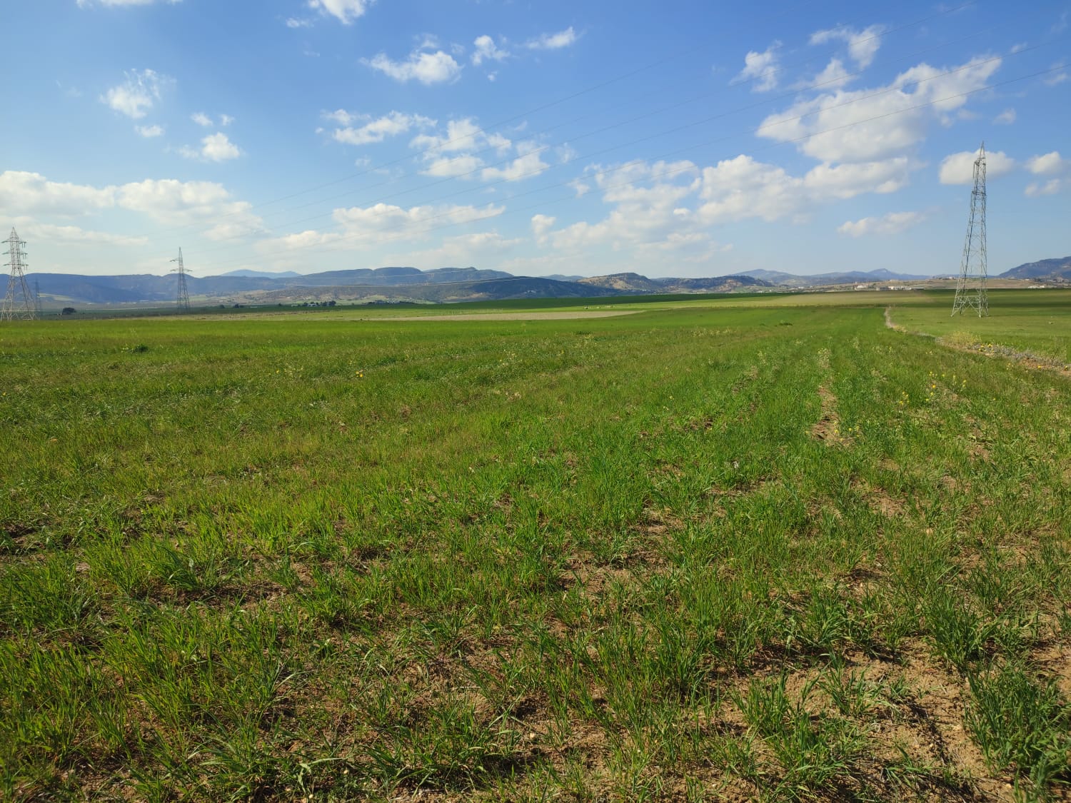 2666eeaa-c270-4659-a54b-2484ba1b6c92