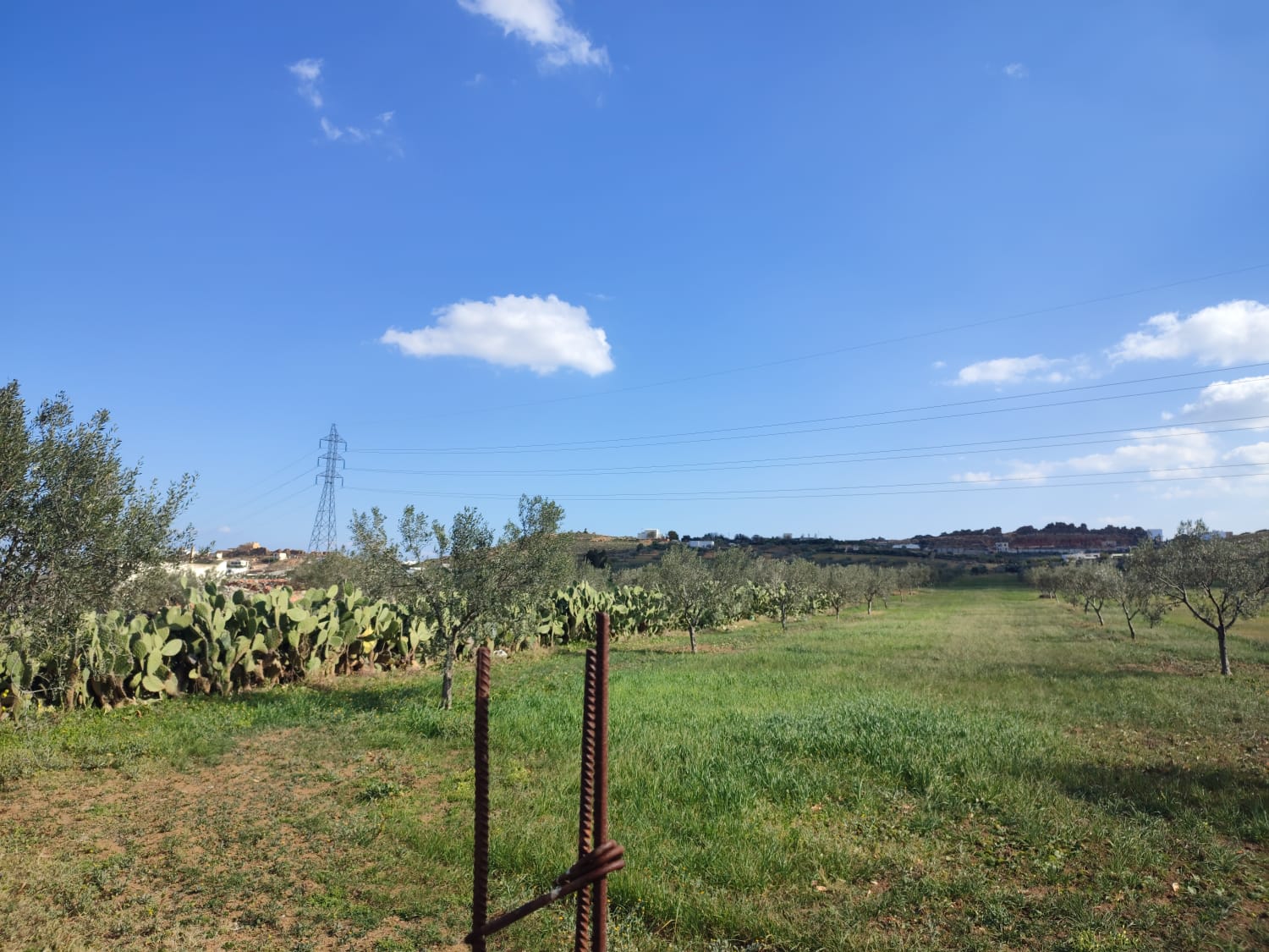 9648a933-a4b7-45e8-96af-d2f3c3be4fbb