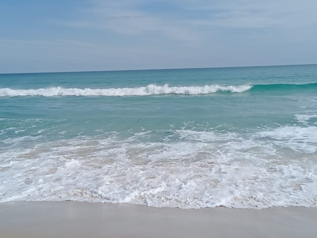 484f61a0-e340-4bd6-bdb6-c0d2b01b5fc0