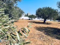 2423db71-3130-4476-b6b1-163094706e9b