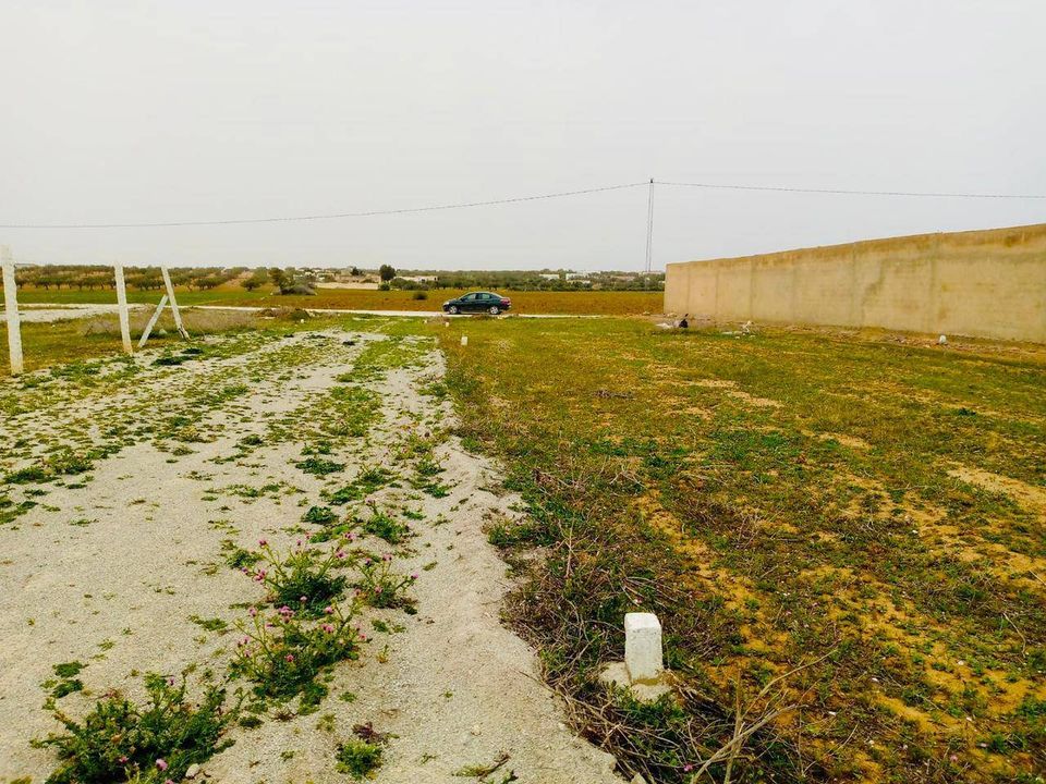 Terrain à vendre à Hammamet Yasmine