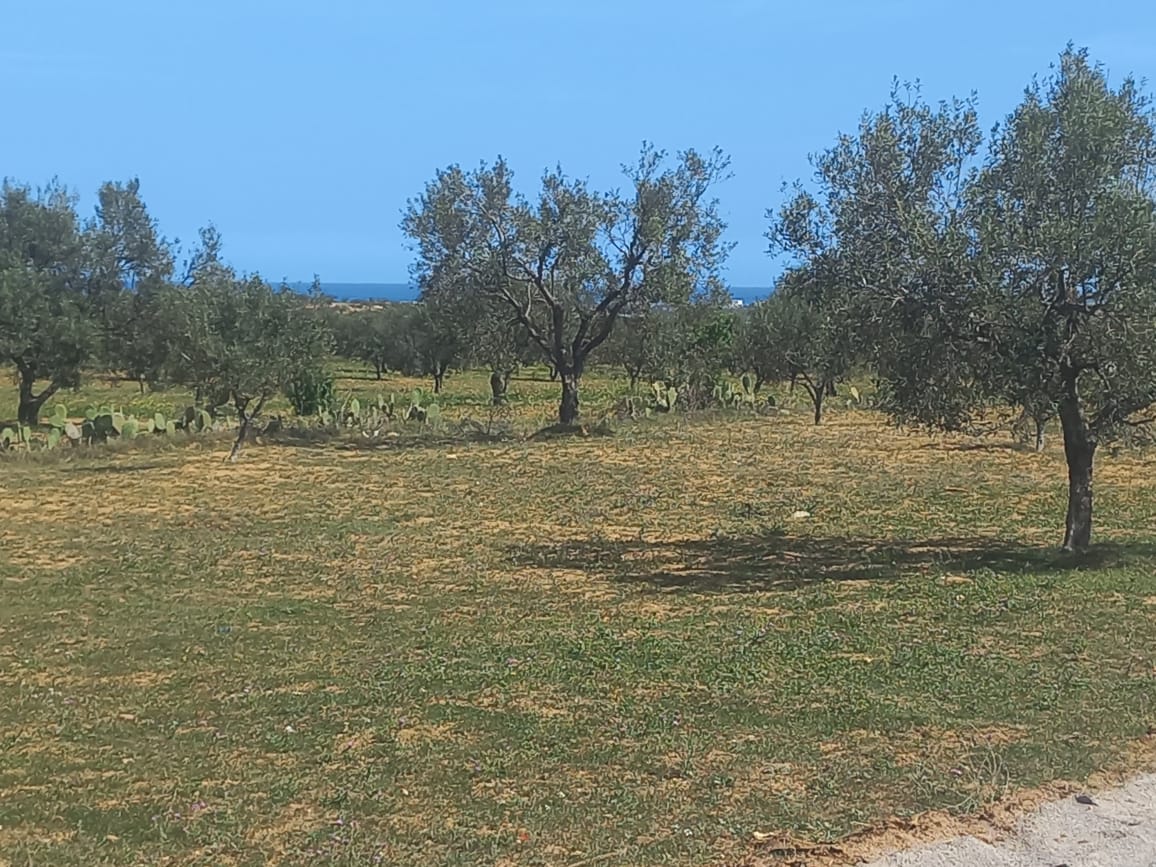 6a43a5cd-5390-4e96-addb-d228ab5d04e4