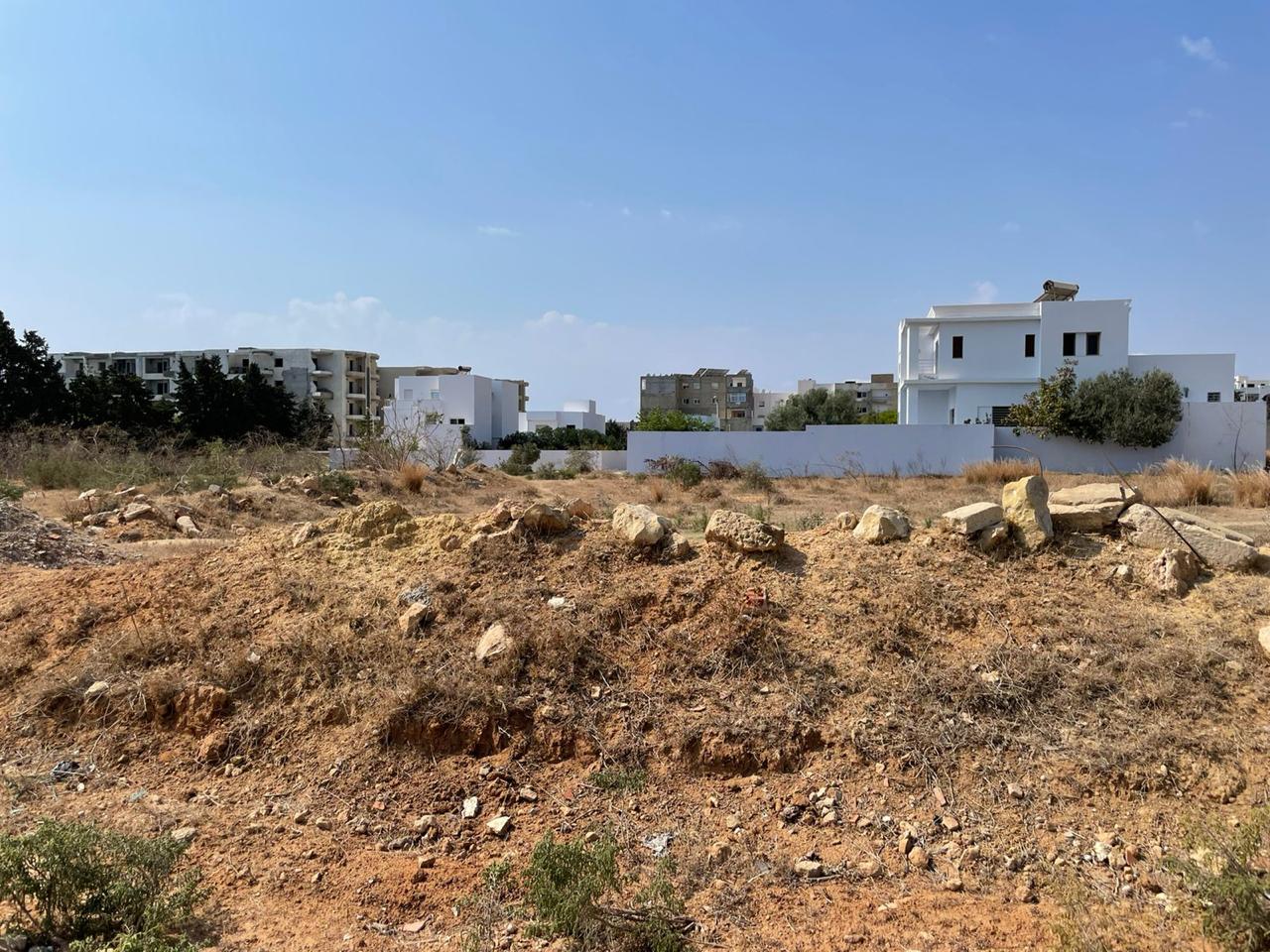 3e00ff54-5818-4d96-878f-7683a35baa86