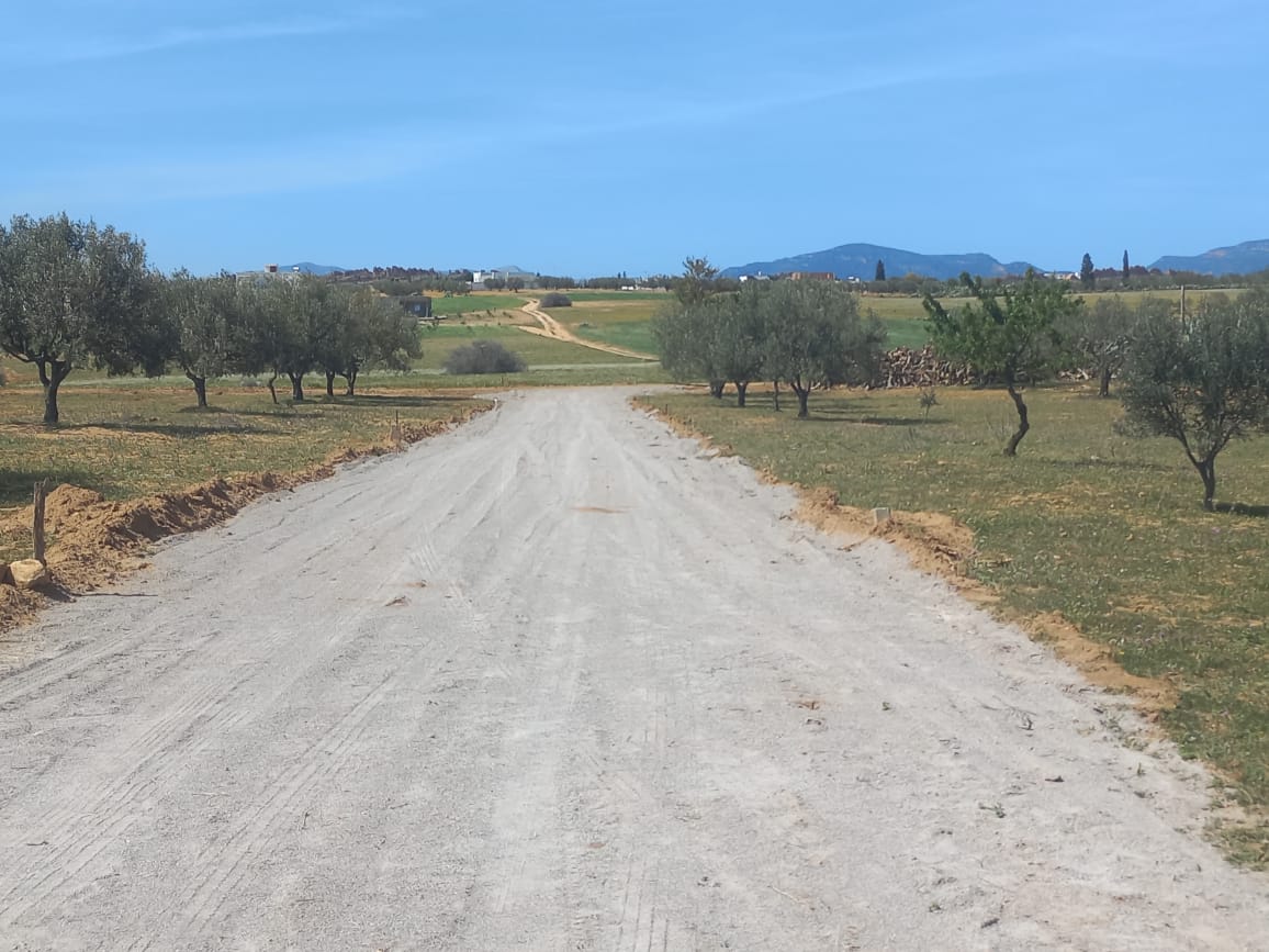 e8cae931-4c16-49eb-a7d5-691451ff63b2