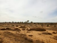 91da5aed-28ff-43a1-aa17-811ef76331c3