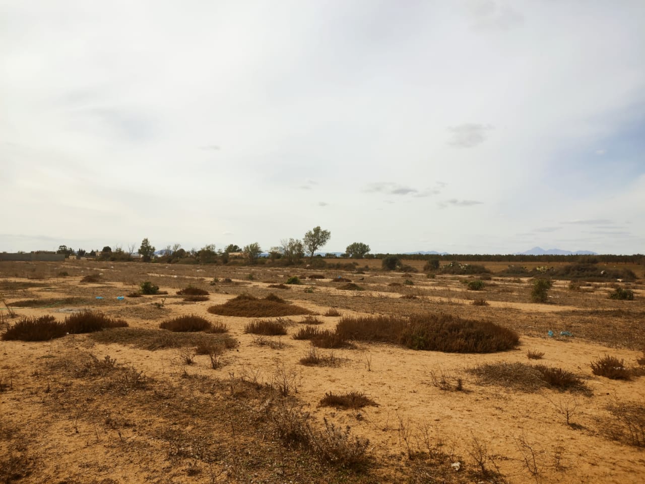 91da5aed-28ff-43a1-aa17-811ef76331c3