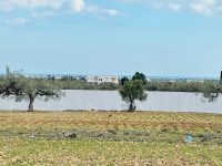 e3873bc8-ac92-46ec-935f-af91e72a1bfc