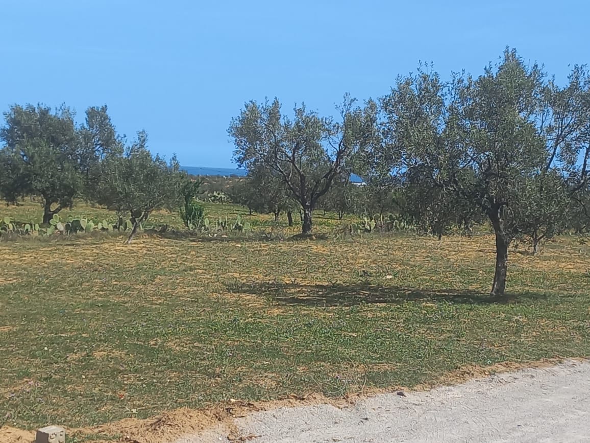 lots terrains avec vue de mer et vue de verdures