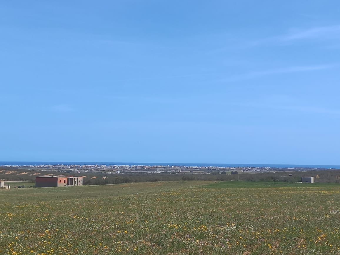 350364da-68dc-4bfb-8786-14fa0dc117ed