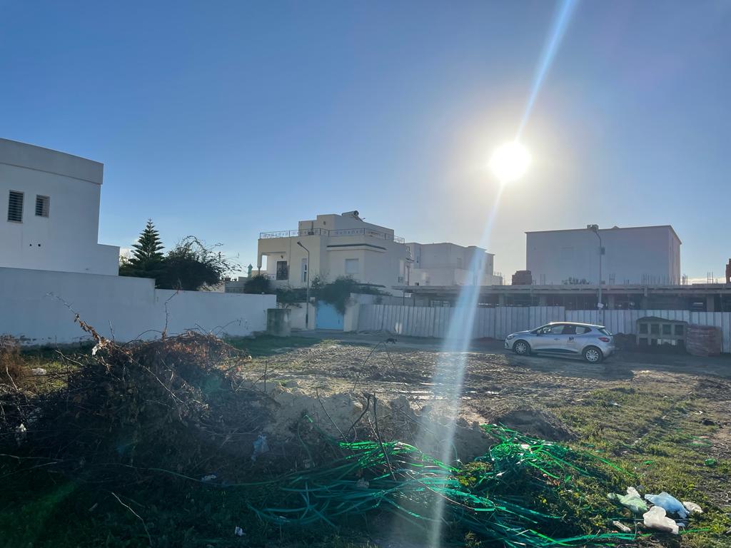 WhatsApp Image 2022-02-02 at 15.59.33 - Copie