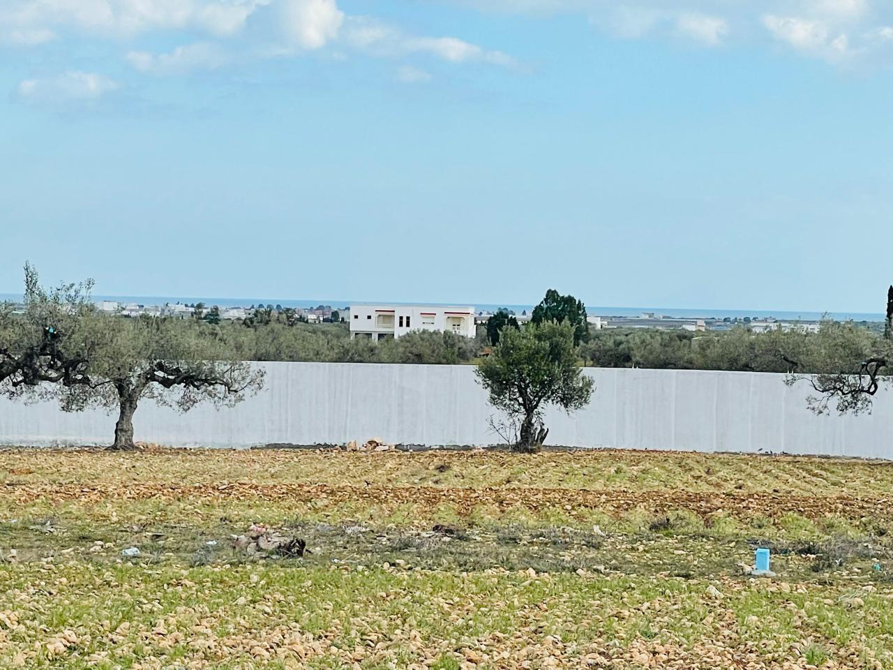 e3873bc8-ac92-46ec-935f-af91e72a1bfc - Copie