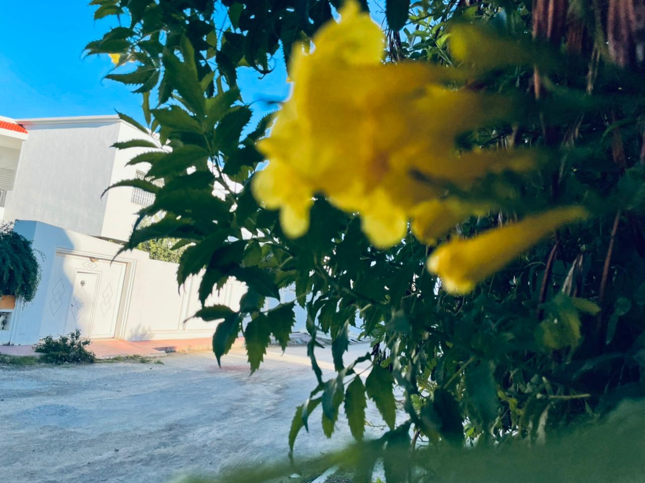 206a524a-ba95-4343-a0a1-bda0e4084a17