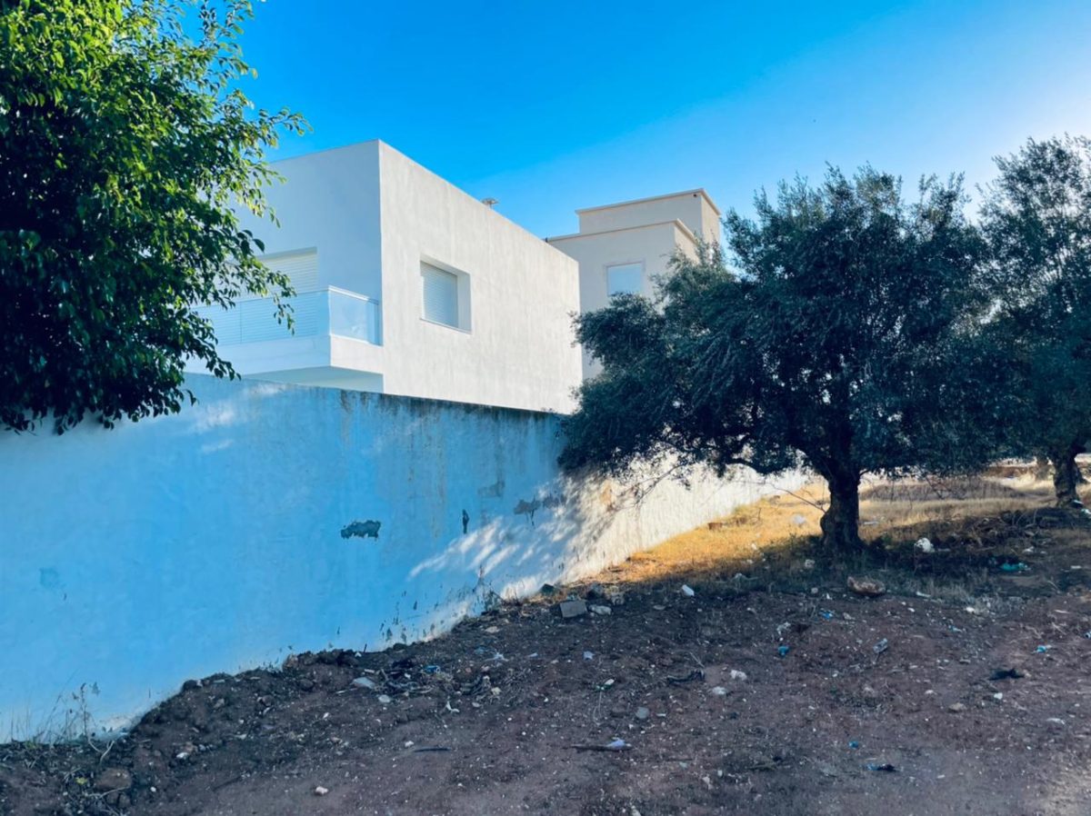 terrain a vendre a yasmine hammamet