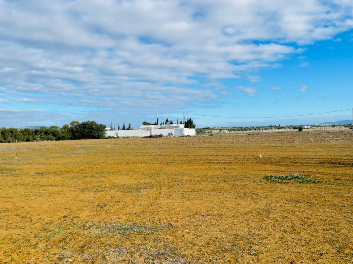 Terrains habitable à vendre à Hammamet sud