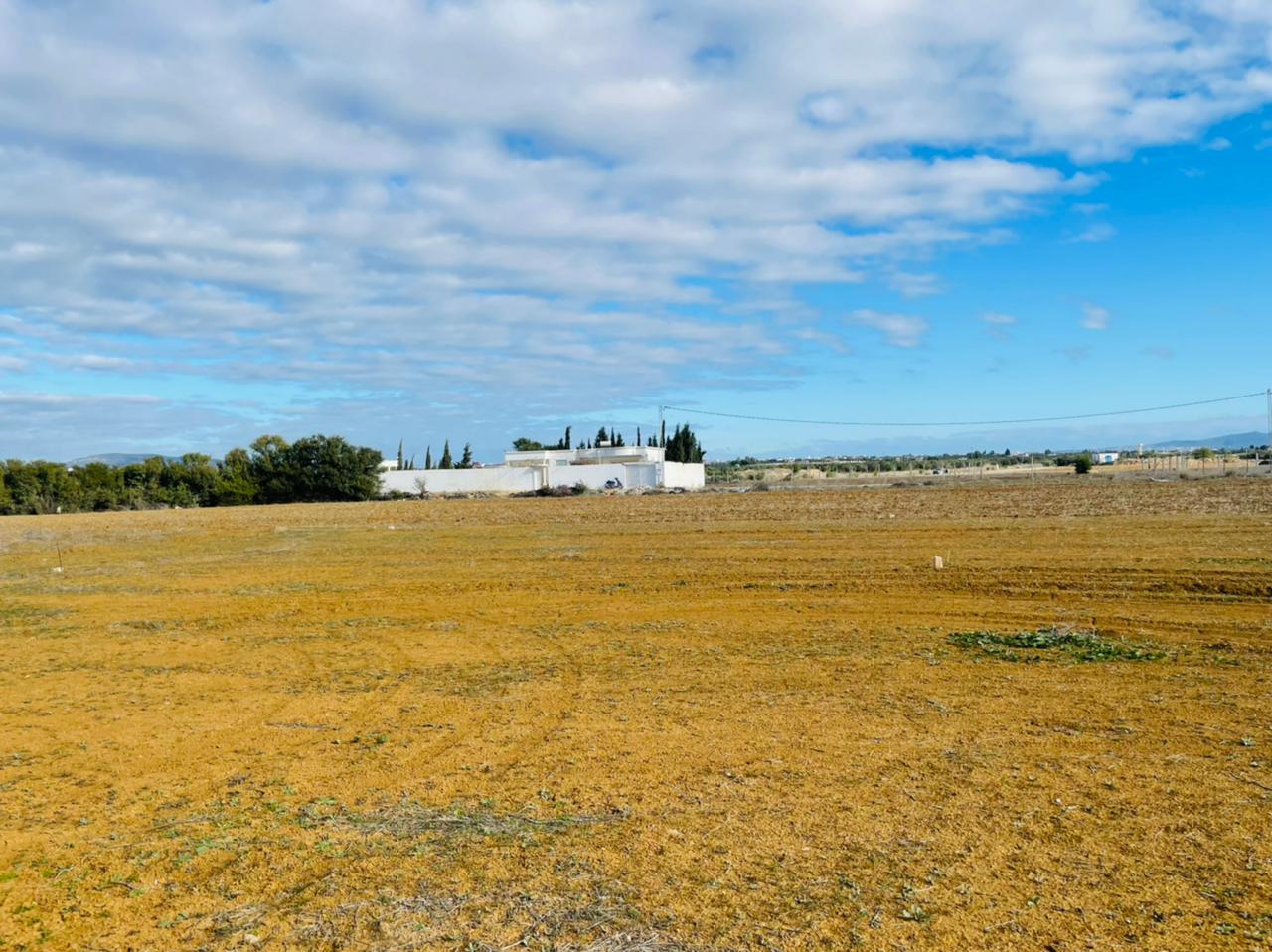 2e41907b-343b-41f5-a8ba-94b4e77ae28d