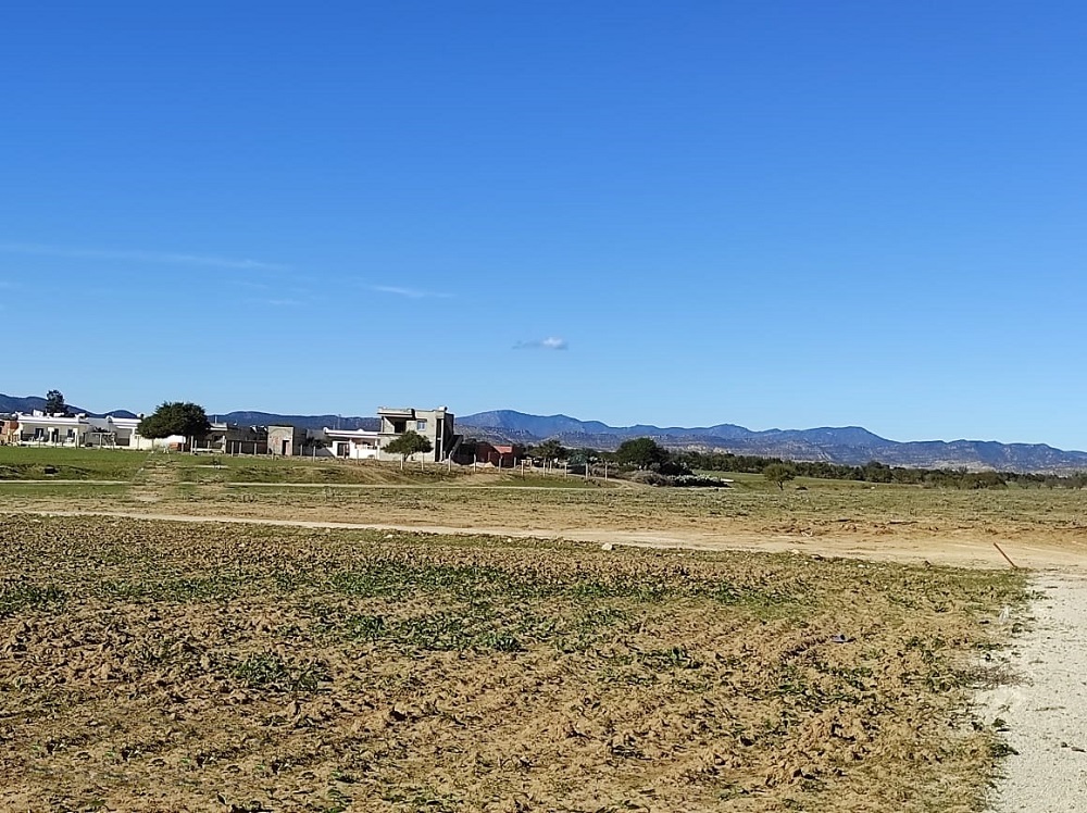 Terrain habitable à Hammamet