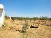 7cfb8d31-da17-4f79-b59c-deb77200b864