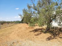 a68e6d04-a0da-4c76-8763-cac5e9b30afb