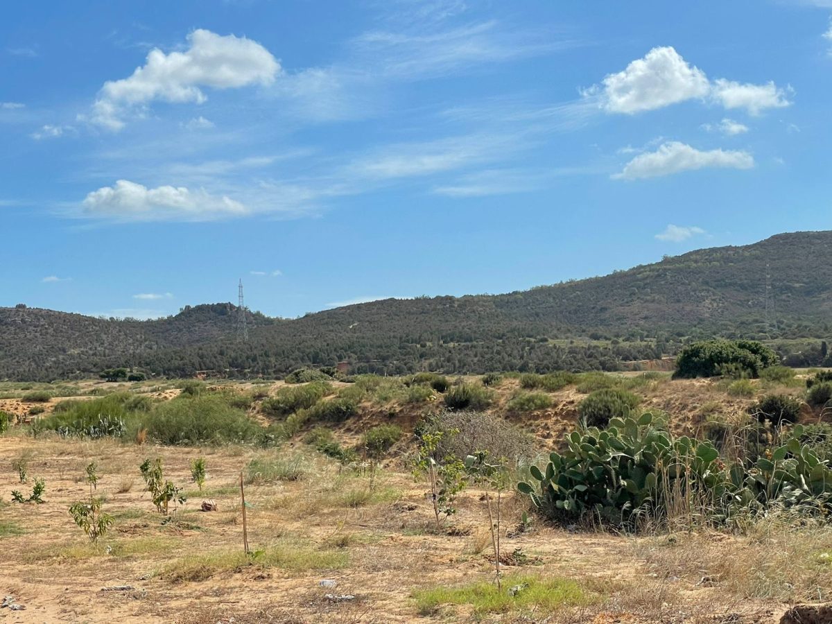 terrain a vendre a yasmine hammamet