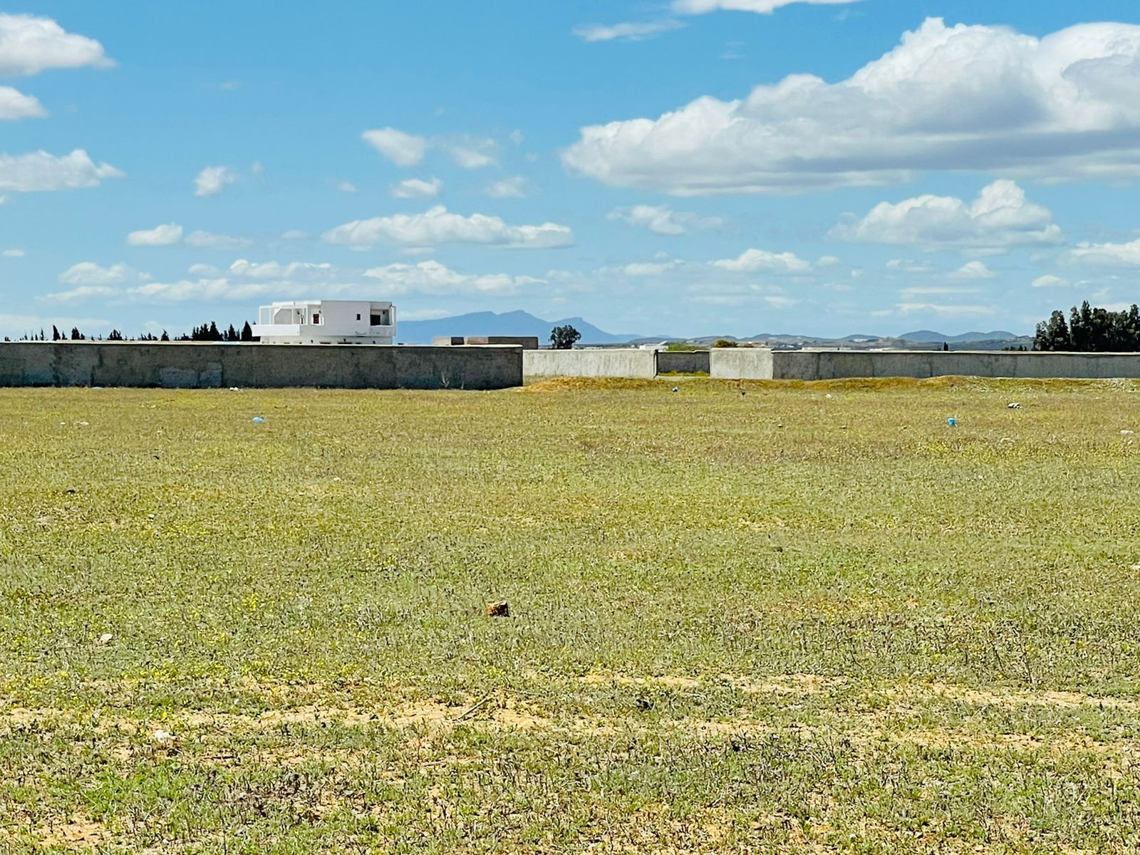 WhatsApp Image 2022-04-22 at 15.54.10 (1)