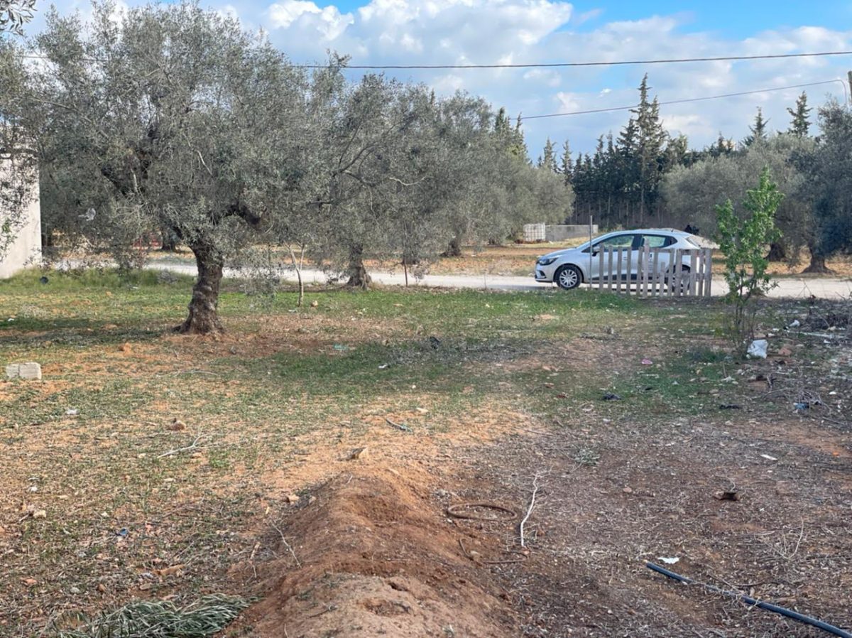 terrain a vendre a yasmine hammamet