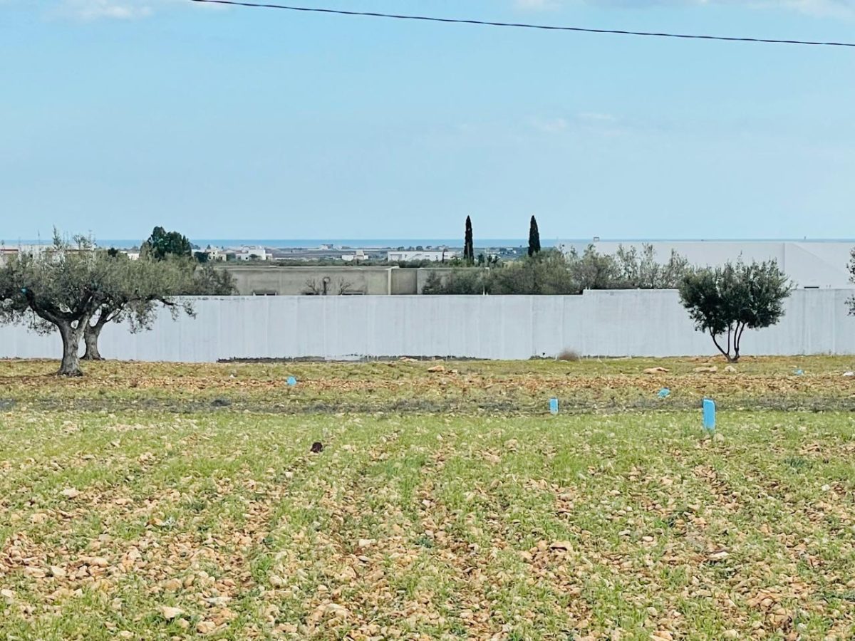 un terrain a vendre ayasmine hammamet