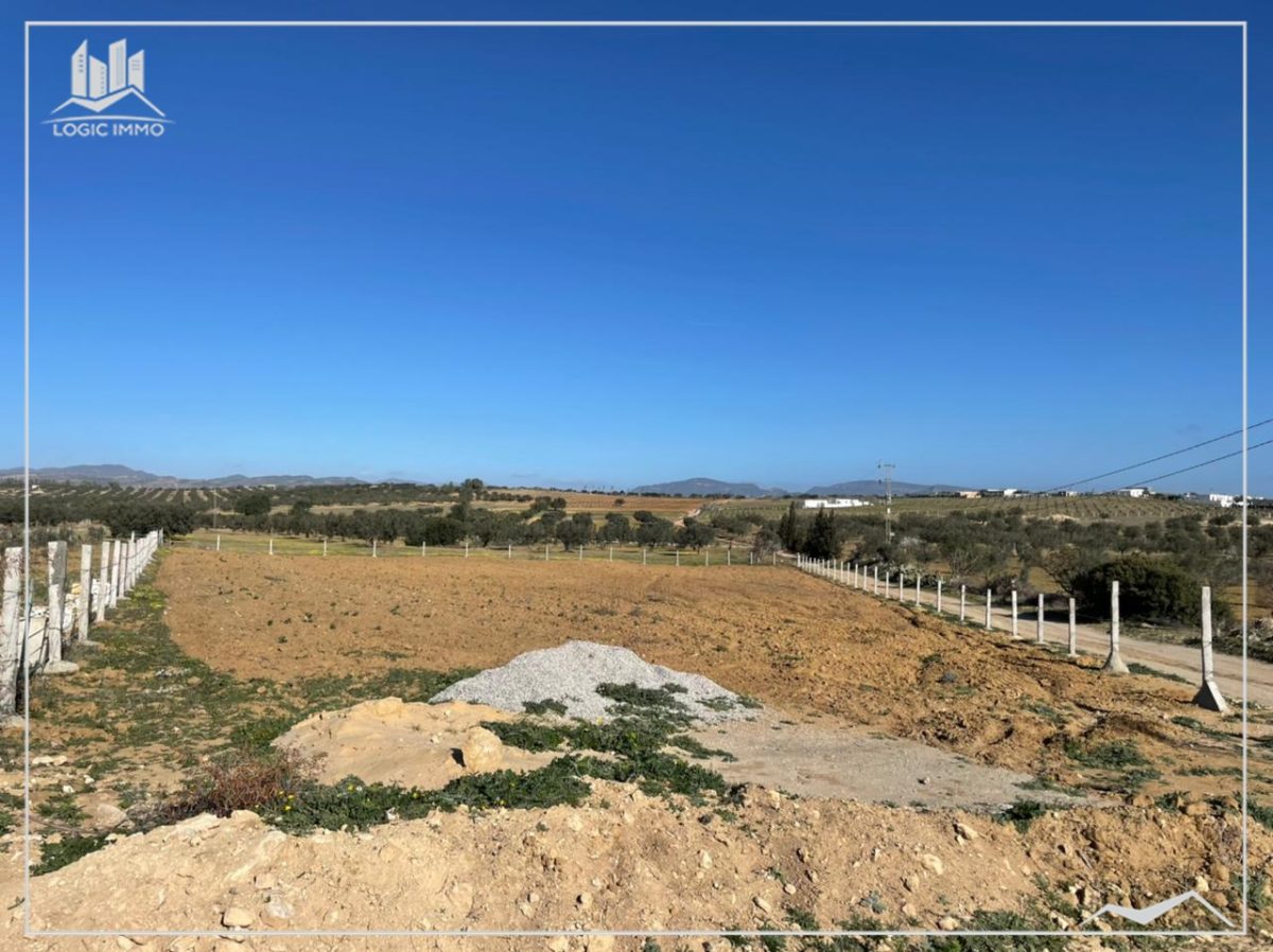 terrain a vendre a yasmine hammamet