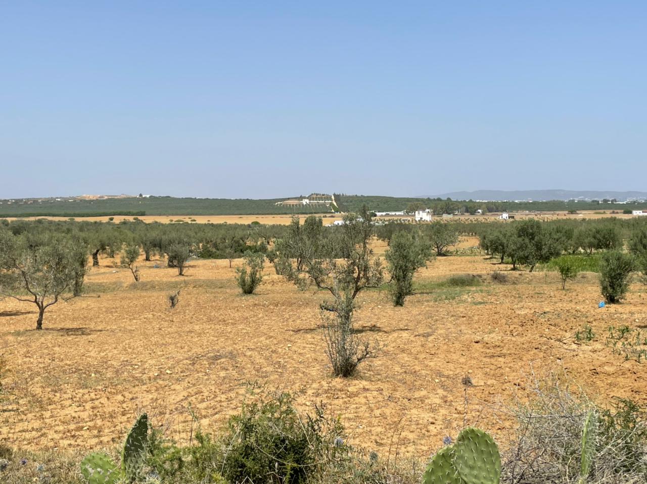 30d30959-5ed9-4d92-8219-49cca07f911c