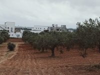 313fa8bf-06bd-4a7c-8c10-f89c0c4d2993