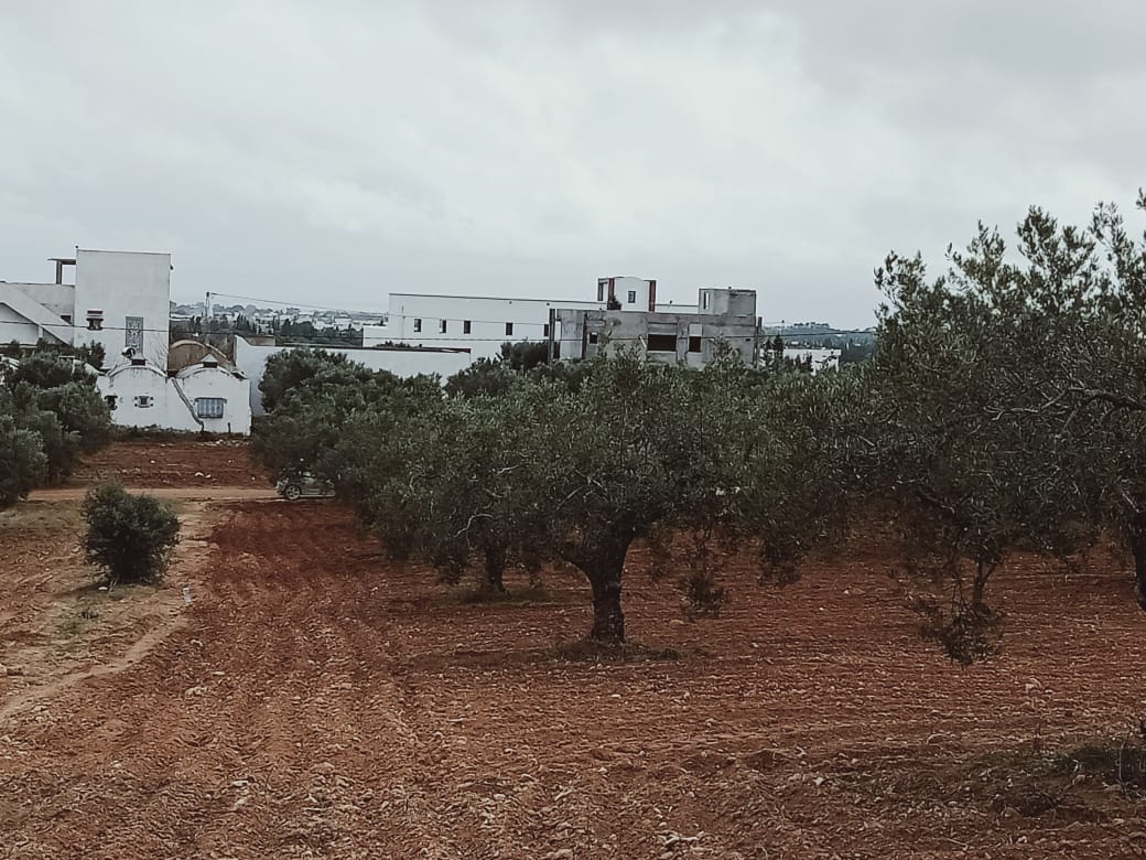 313fa8bf-06bd-4a7c-8c10-f89c0c4d2993