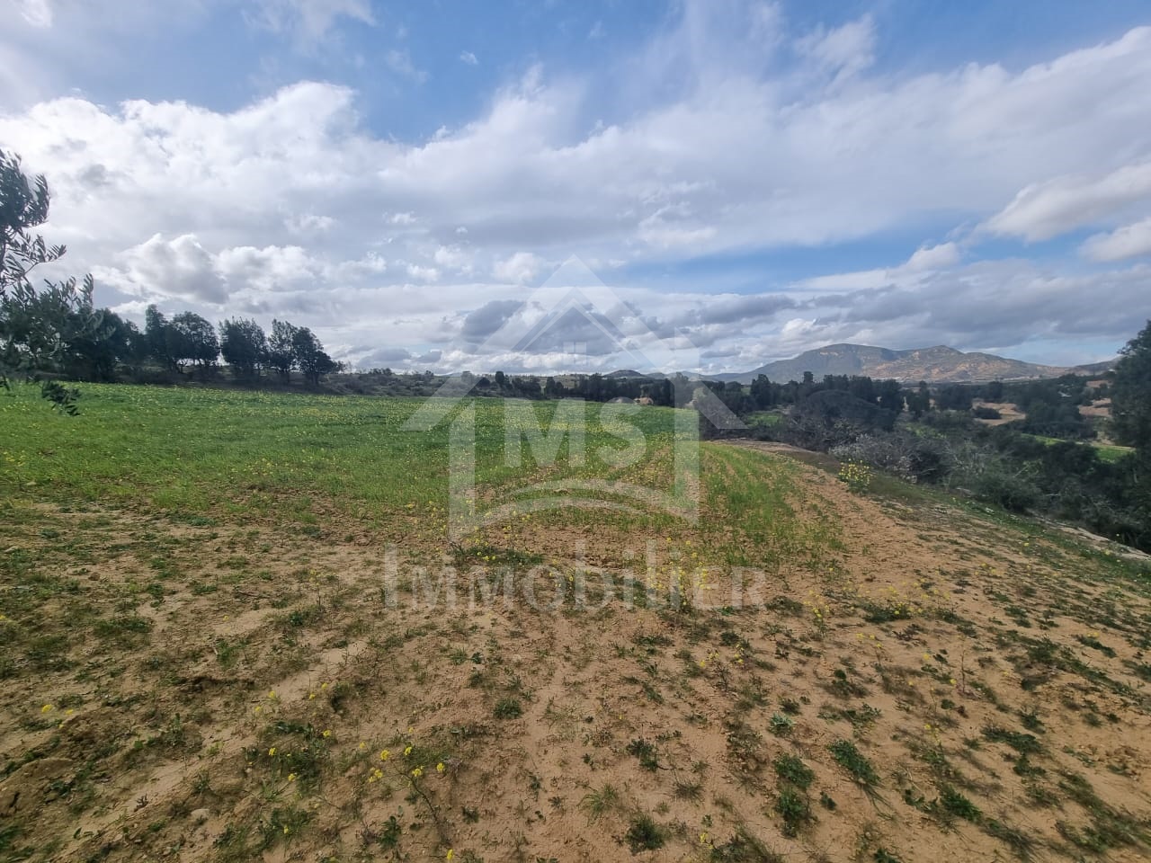 fa99de0d-21c8-4140-8f60-65d6868f3e3b