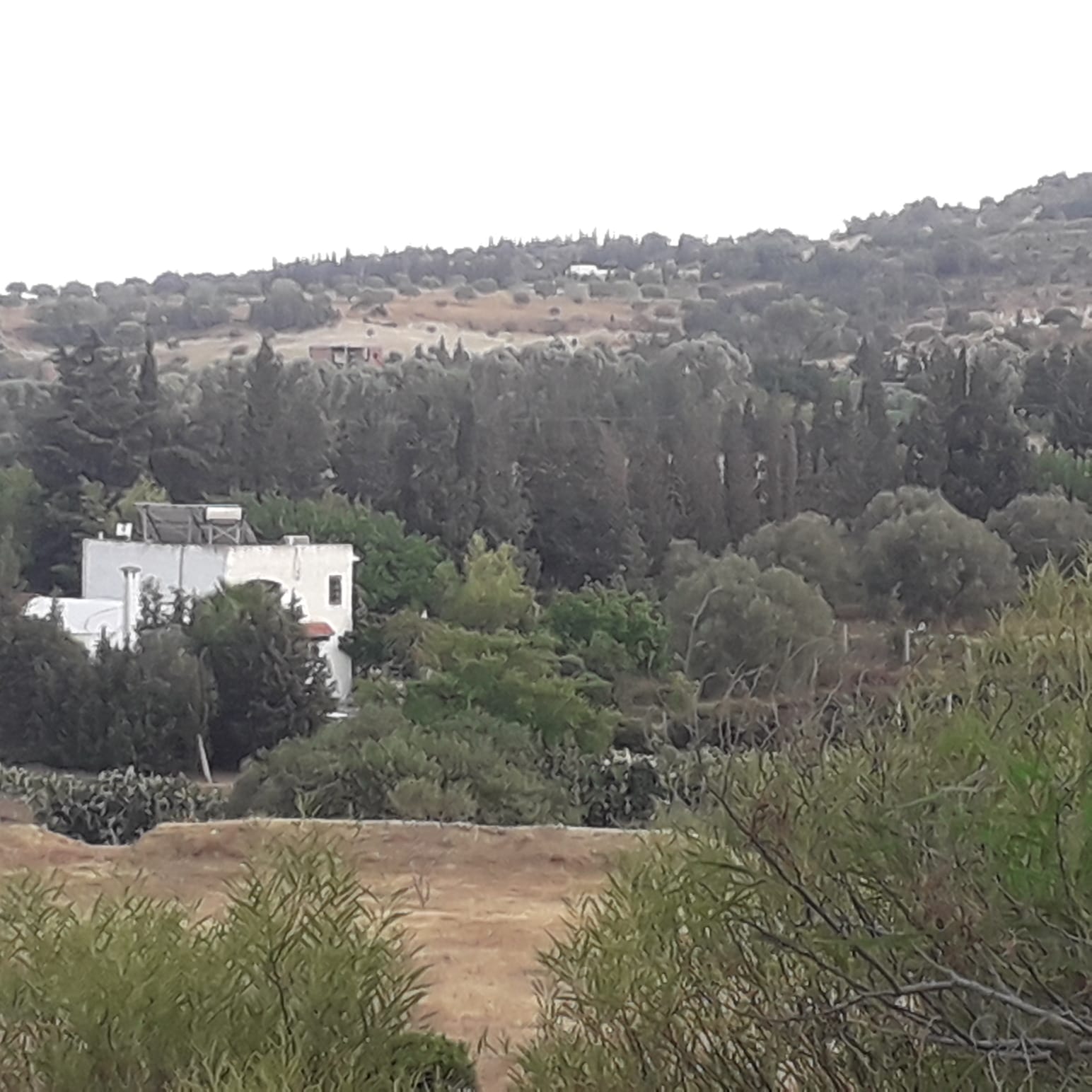 ab22ced7-17f6-4529-b4cb-cc1eba5c8a91 - Copie