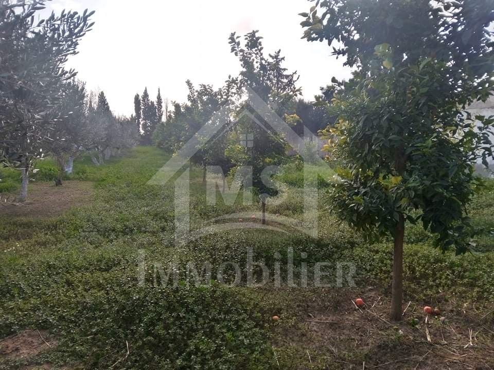 c416f1f8-d90f-4b8d-8e4e-3a37f7c66eda