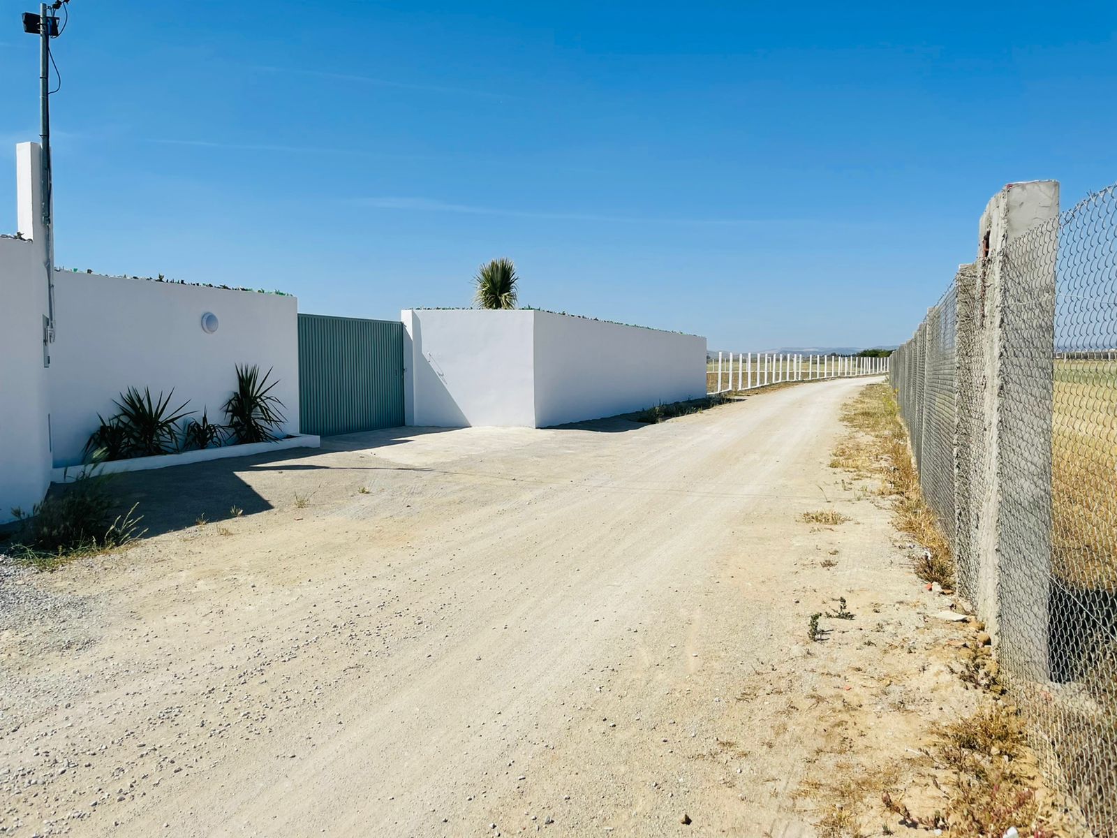 WhatsApp Image 2022-05-18 at 14.56.58 (3)