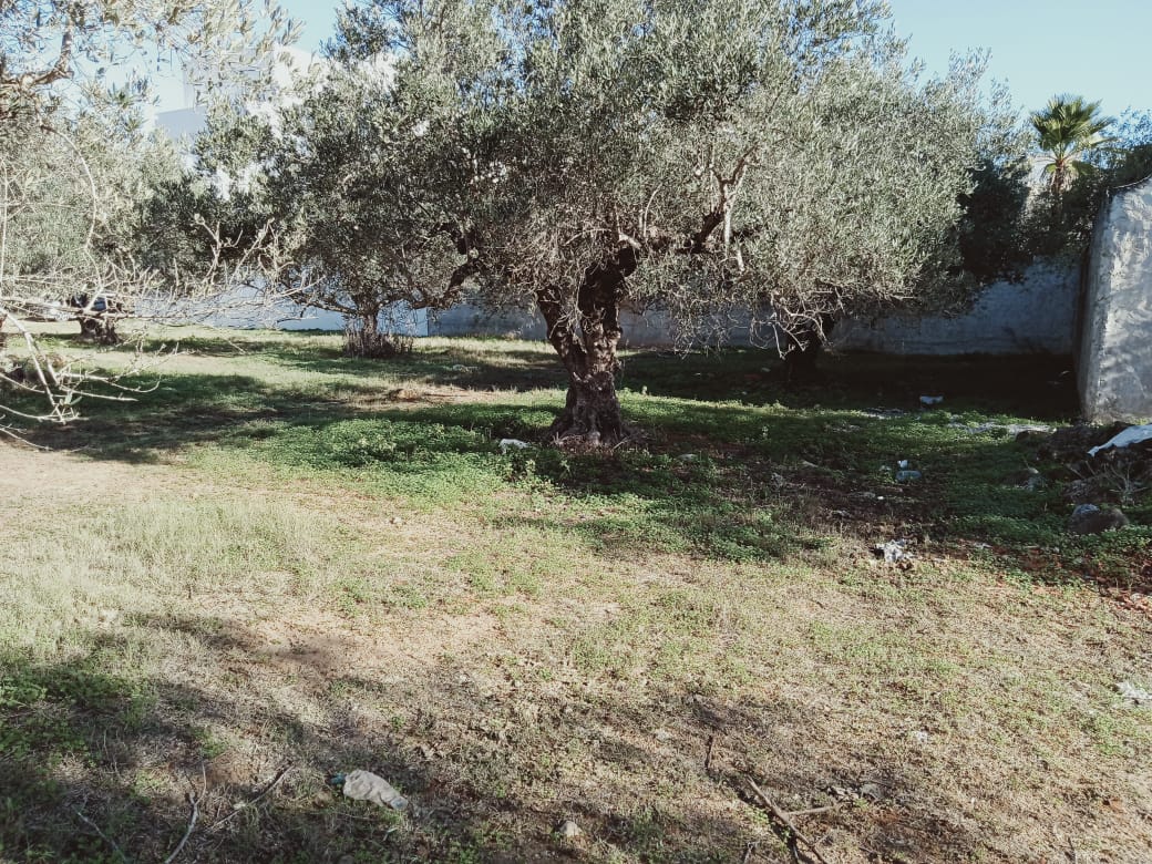 02731f65-1630-4609-b862-193d83e95bce