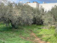 4f0fc2bf-b576-42d0-ab76-8e09048f44c2