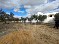 b66359c6-bb90-483f-aeca-24c1f8b3564f