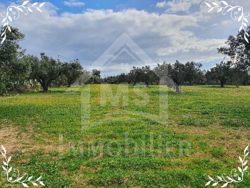 cada51e0-fbfa-480d-bfb4-82cb35afba61