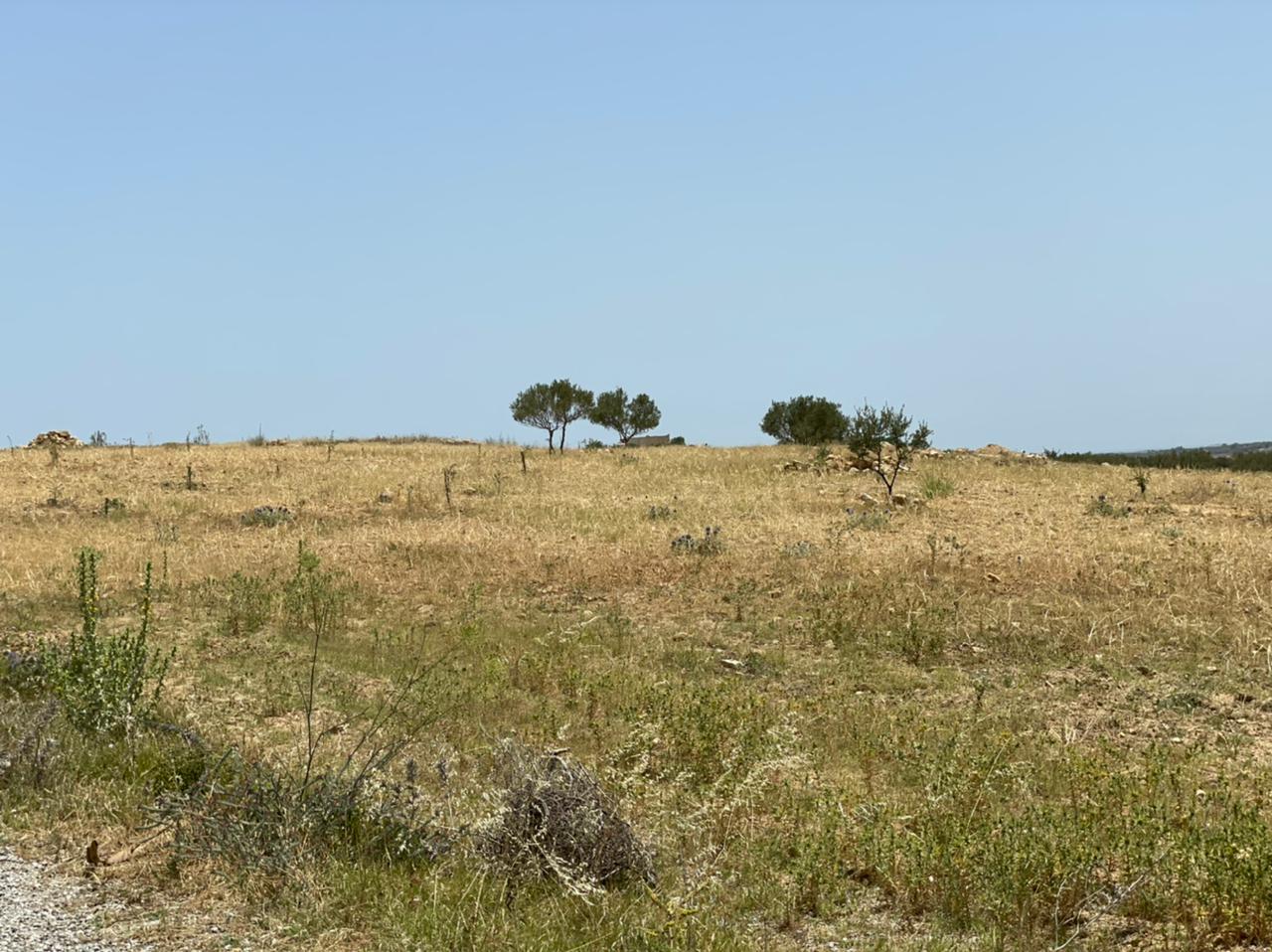 6180940f-c775-400d-b0c3-f450fa4eadae