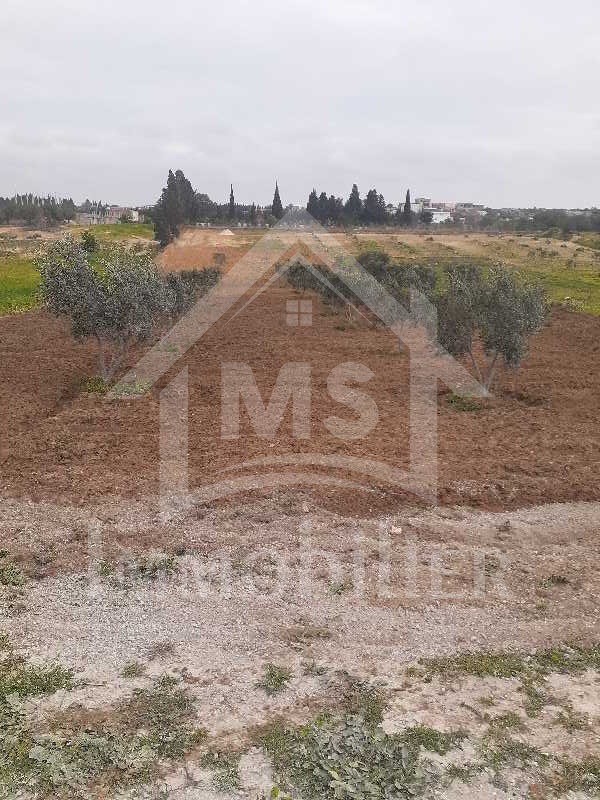 9b04455a-d5be-4633-989d-7e66fd45d0f6