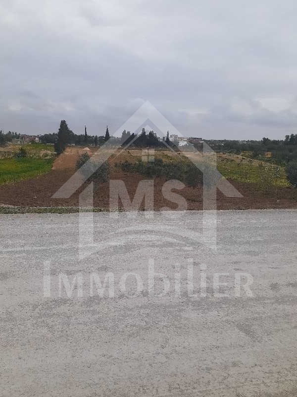 Terrain à Birbourgba  de 2200 m² à vendre à 440 MD  51355351