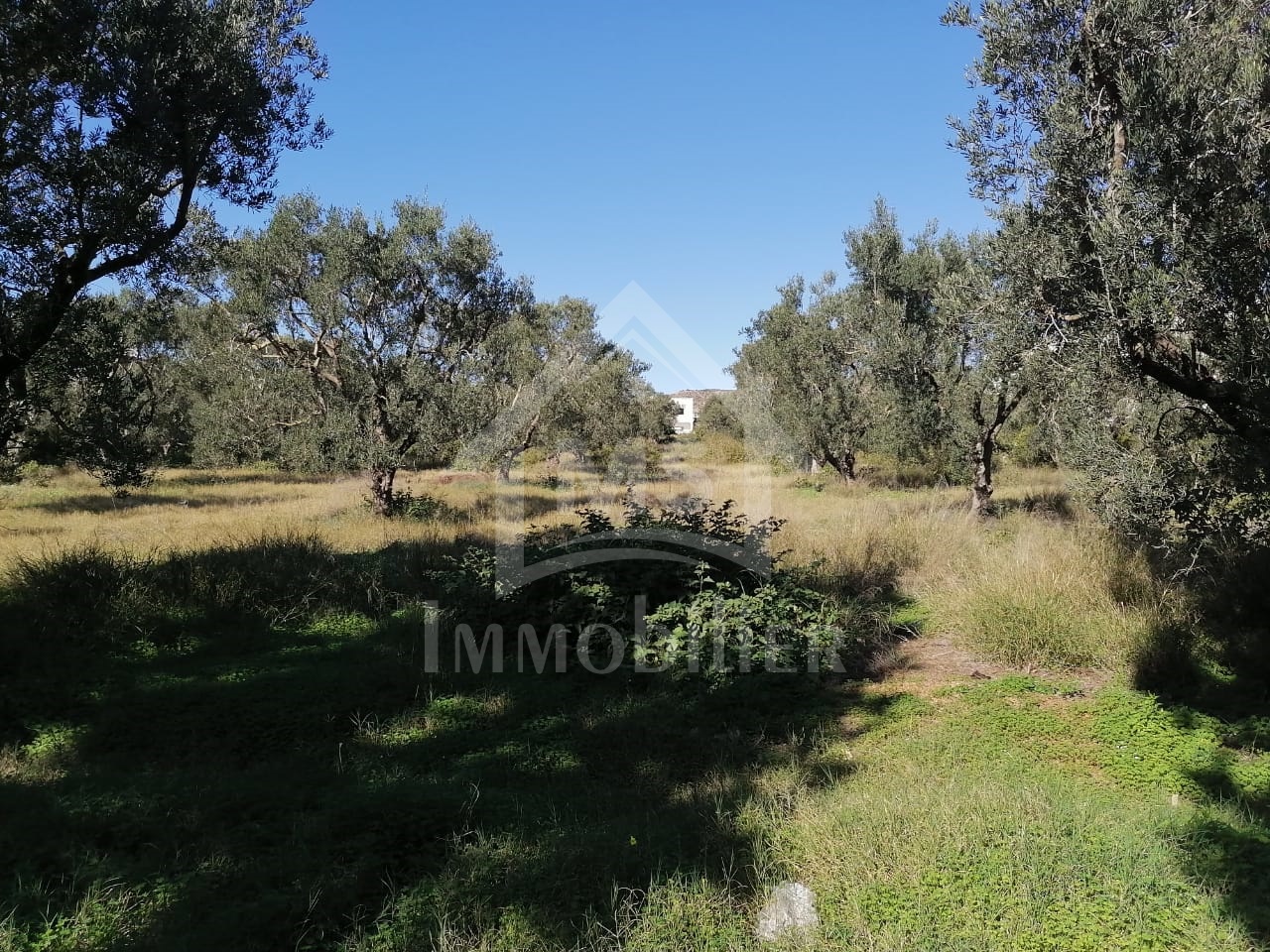 c13299df-2948-4d5f-a099-f443389cc1c3