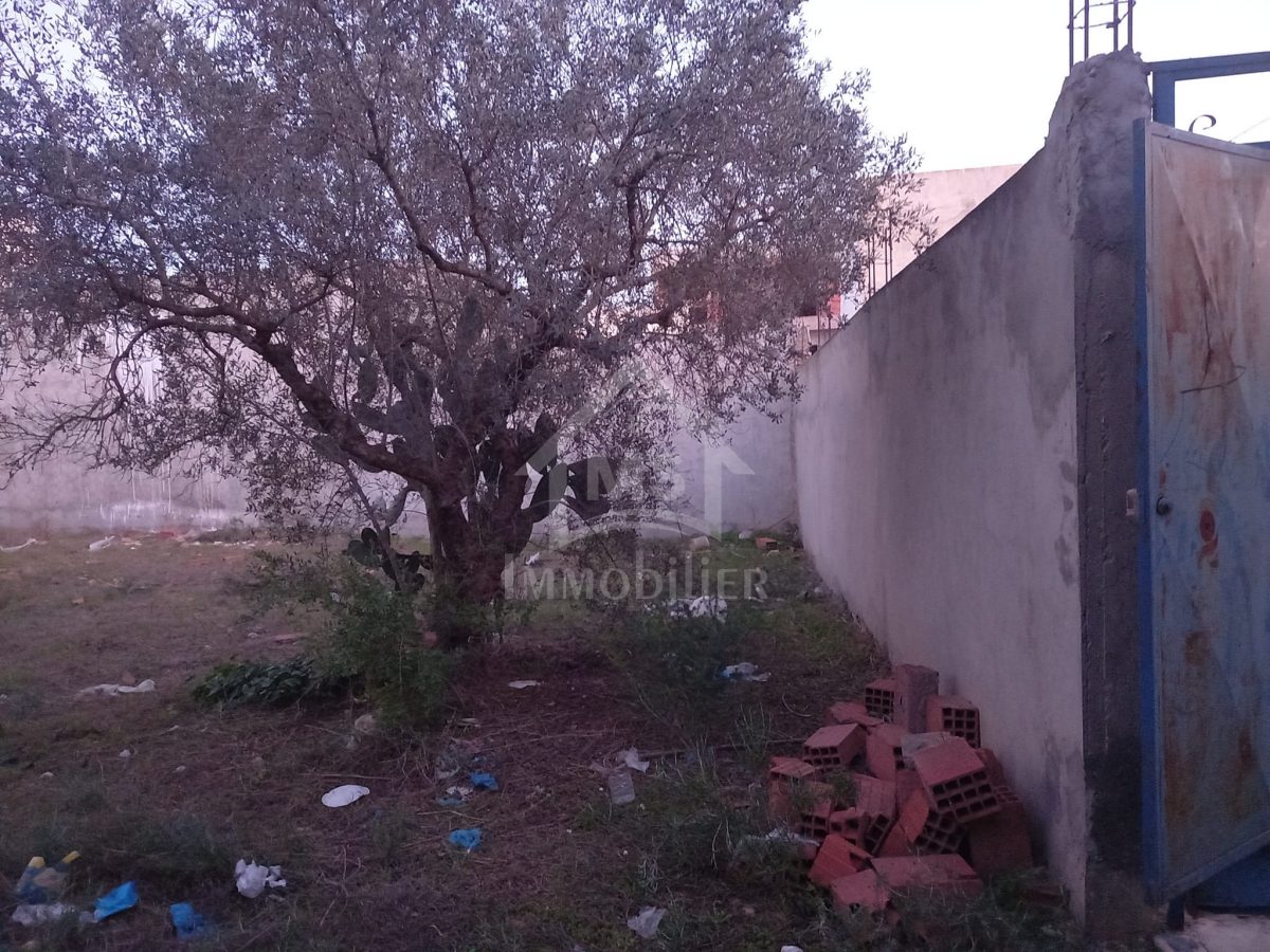 Superbe terrain de 500 m² à vendre à Hammamet Sud à 150 MD 51355351