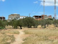 fe52b059-457f-49b2-a6fb-4c29a65c1029 - Copie