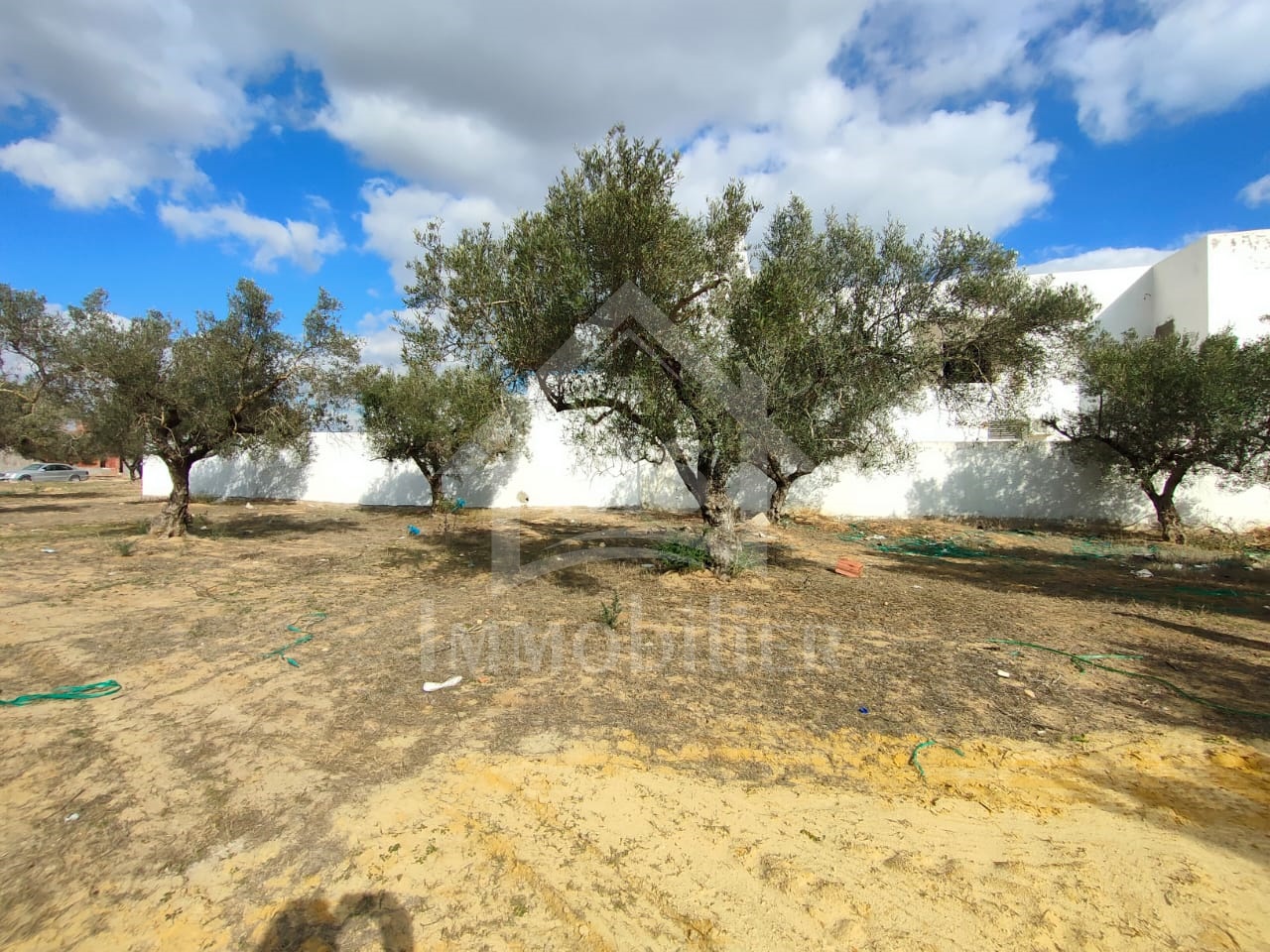 9367eb51-cc1b-4738-a0ad-27674d9df118 - Copie