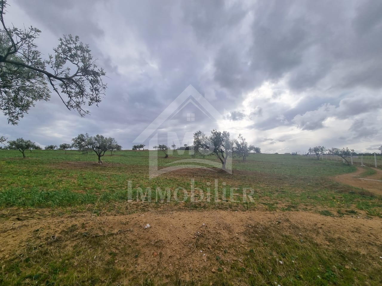 49fbc4eb-74cb-4bf3-b345-82dabe8dea39