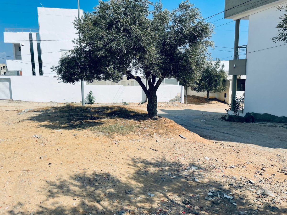 TERRAIN A HAMMAMET NORD