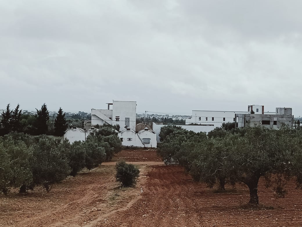 e9fde360-d195-4fd2-95e1-e02325f61f5d