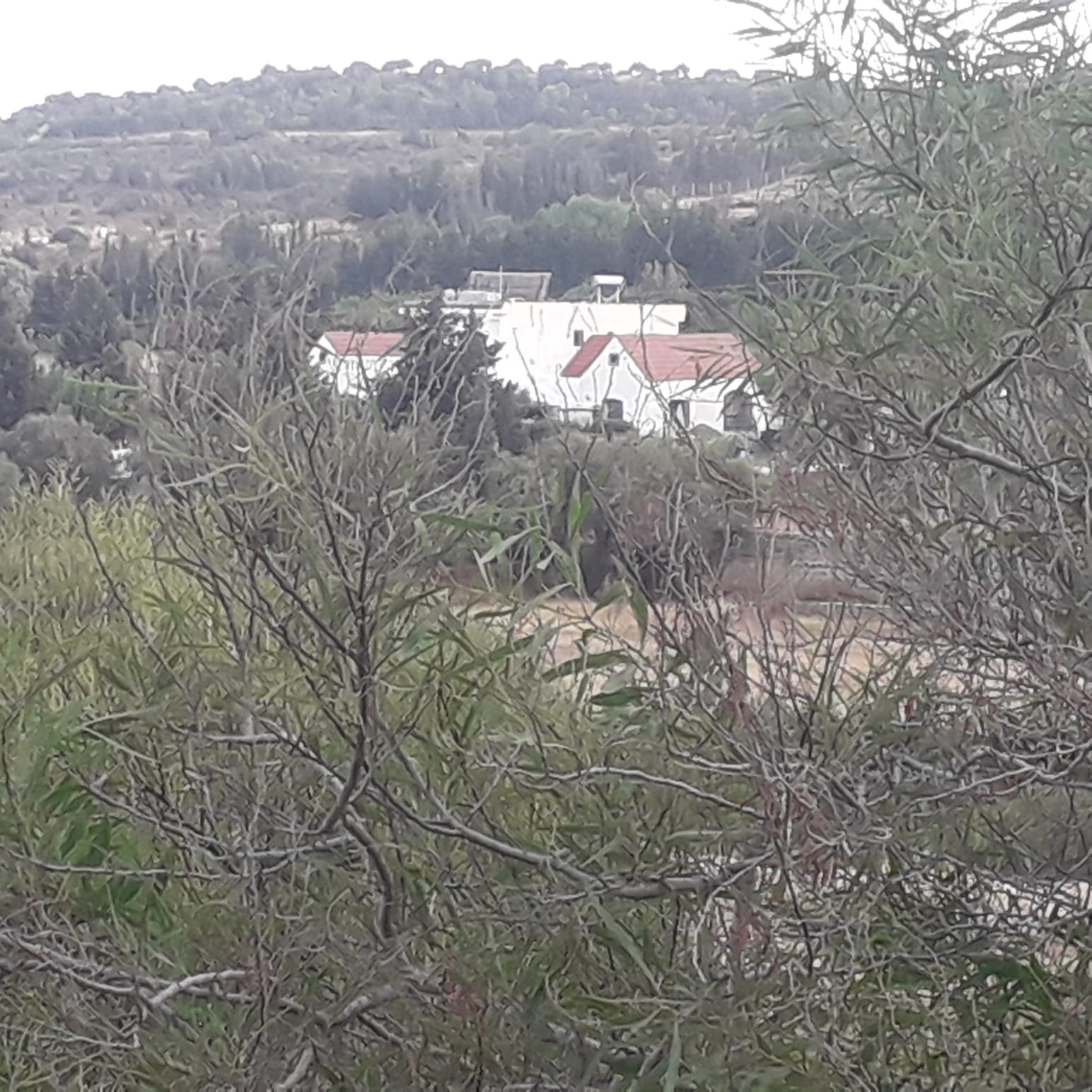 324b540b-ed64-44d5-b4ba-ce9470f9299f